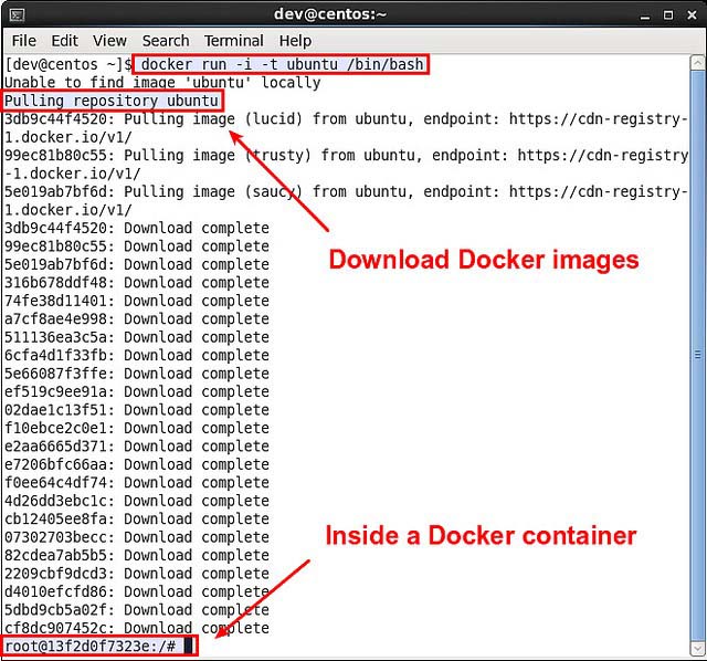在CentOS或Fedora上運行Docker容器的方法與步驟
