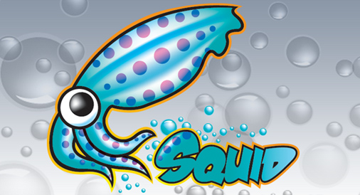關(guān)于linux中Squid代理服務(wù)器的10個(gè)實(shí)用面試問答