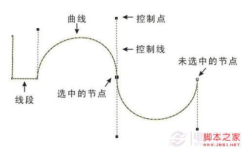 如何用好PS中的鋼筆工具 Photoshop鋼筆工具的使用介紹