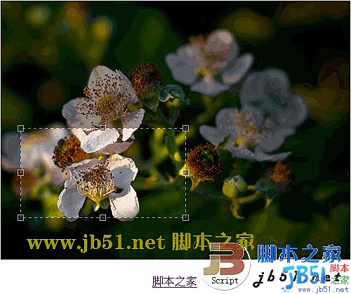 JQuery Jcrop 實(shí)現(xiàn)圖片裁剪的插件