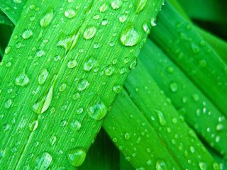 js放大鏡放大圖片效果