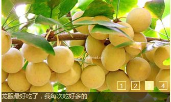 jquery 圖片輪換效果
