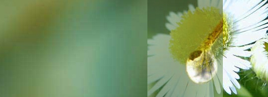jquery plugins