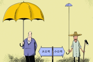 大公司？小公司？我的經歷和建議