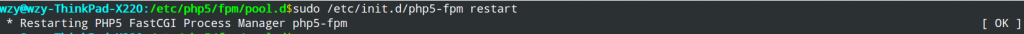 ubuntu10.04配置 nginx+php-fpm模式的詳解