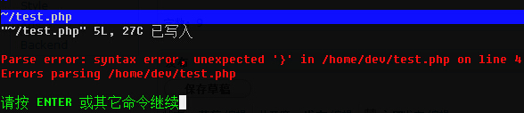 PHP語法自動檢查的Vim插件